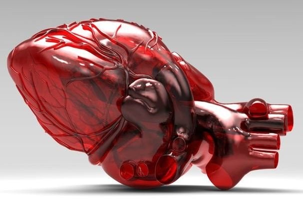 با تولید ریزارگانهای قلب یک گام نزدیک تر به درمان نارسایی قلبی