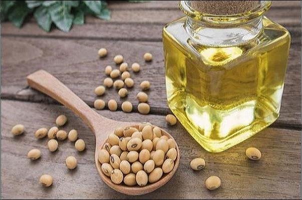 تهیه غذا با روغن مهندسی ژنتیک شده در یک رستوران آمریکایی