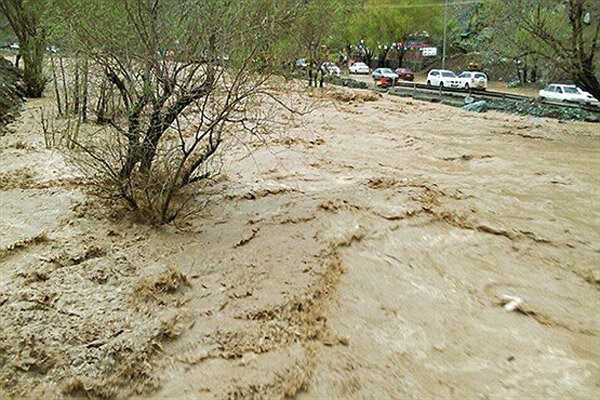 ارسال داروهای زخم بستر و دیابت به مناطق سیل زده